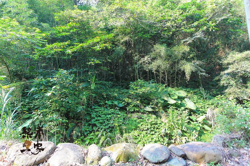 藍鵲喜居|苗栗公館民宿包棟|賞螢火蟲 油桐花 泡溫泉 烤肉