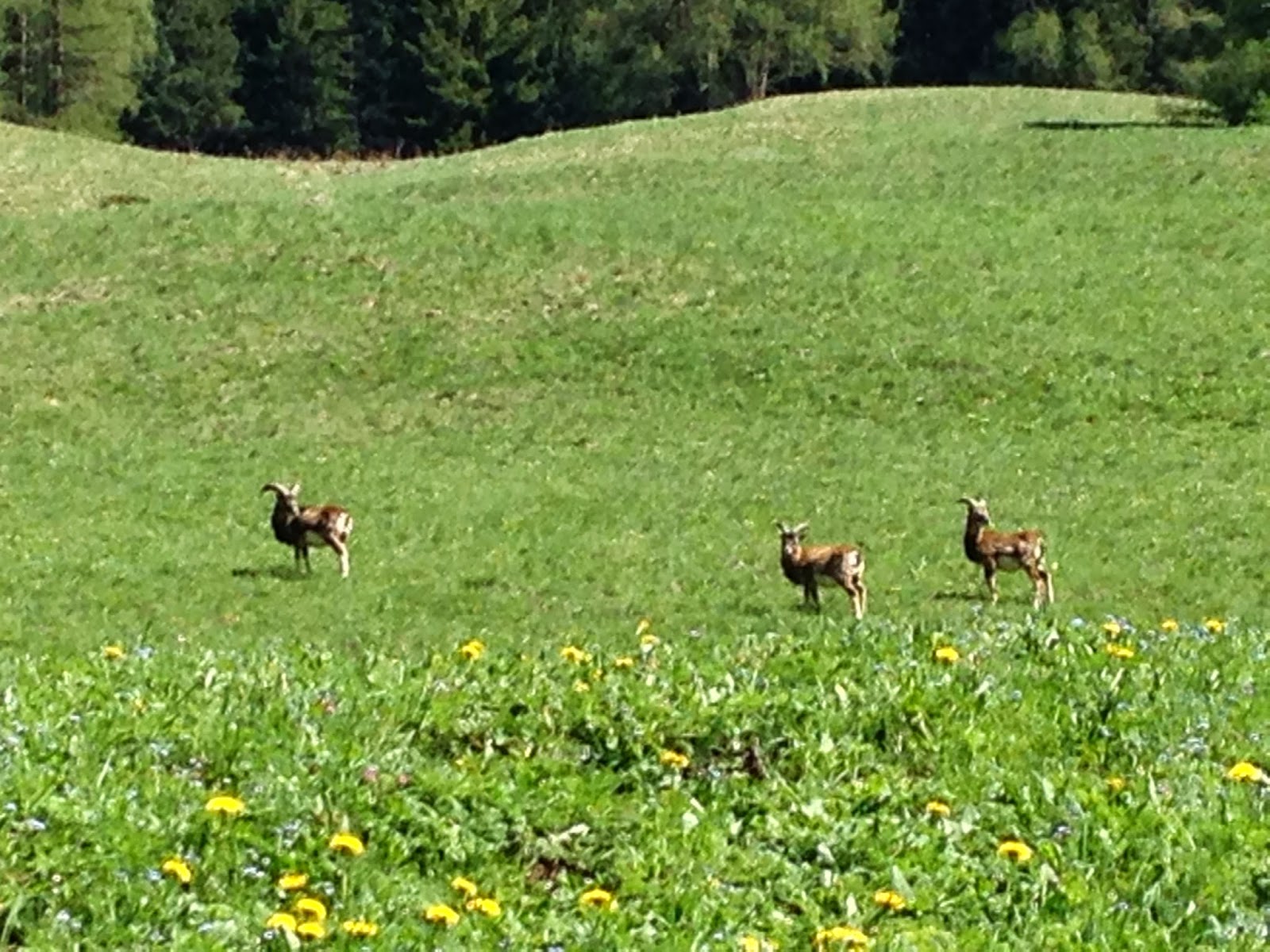 Life of Ma: Trekking della domenica