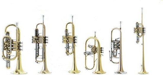 Instrumentos.musicais(A,C,C,F,L): Metais
