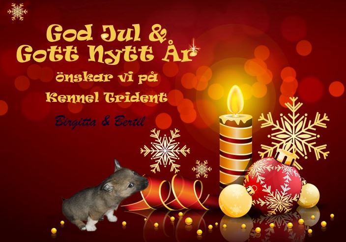 God Jul text, kort gratis, julbilder, julhälsningar, clipart | God Jul
