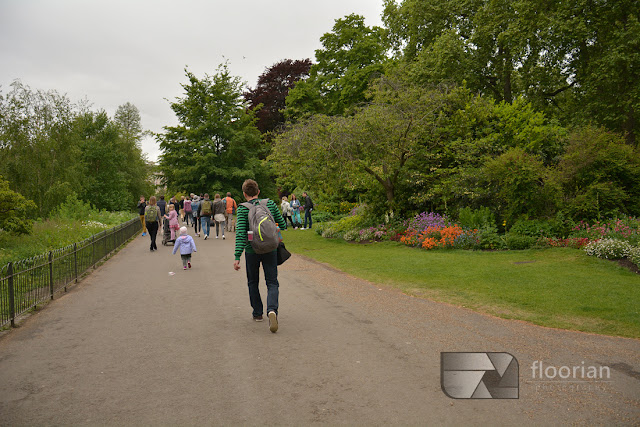 St. James Park to uroczy park otoczony najbardziej znanymi atrakcjami Londynu, rozciągający się od Pałacu Buckingham do Horse Guards Parade.