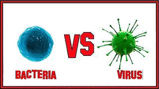 Virus vs. bacteria