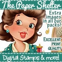 THE PAPER SHELTER