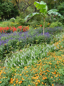 James Gardens layers annuals late summer by garden muses- a Toronto gardening blog