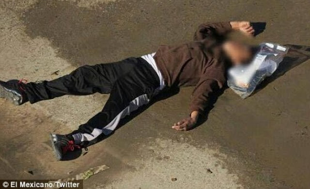 mexican illegal immigrant suicide