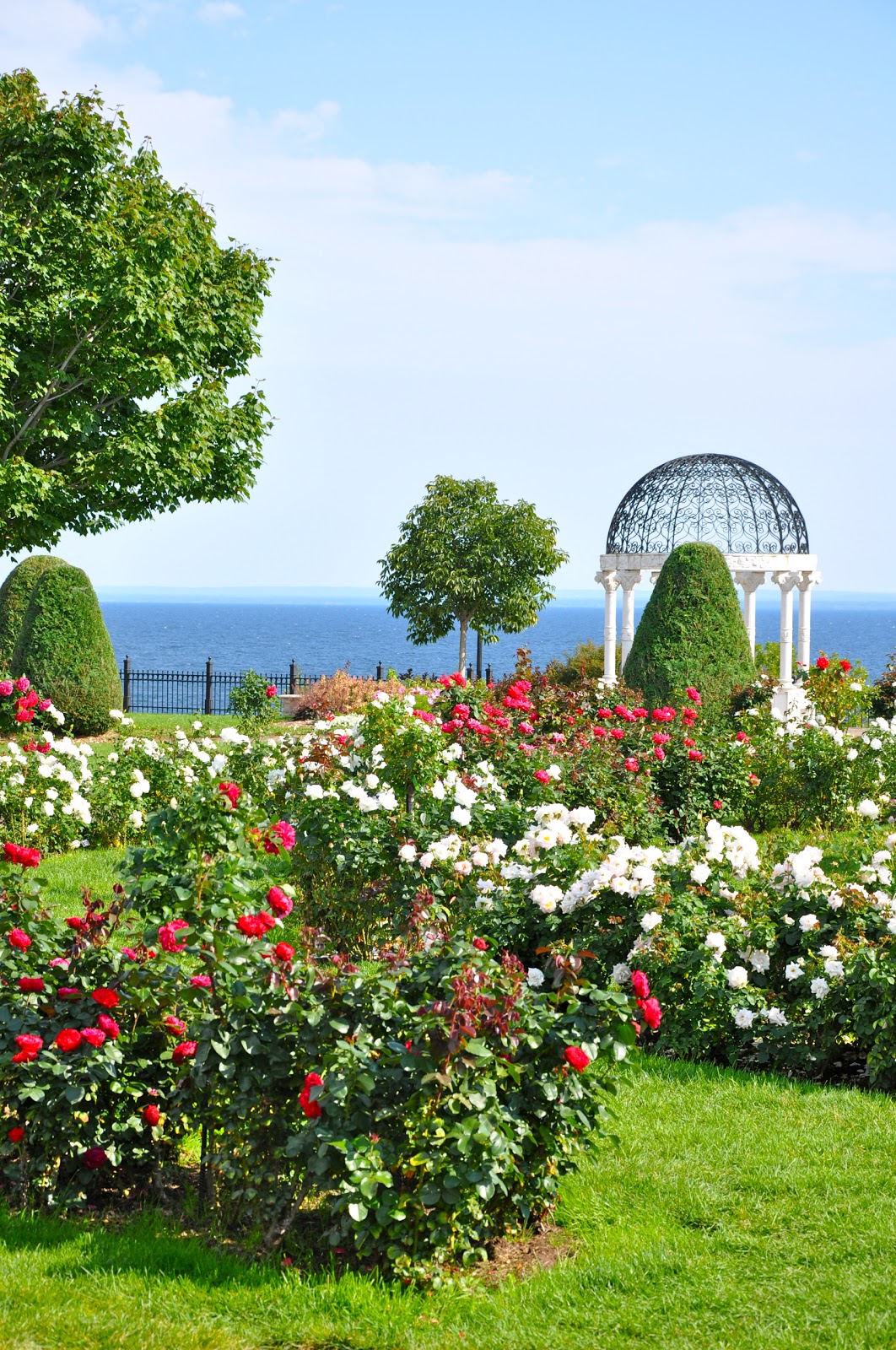 Duluth Rose Garden Rose Garden Duluth, Mn Photograph by Jan Swart