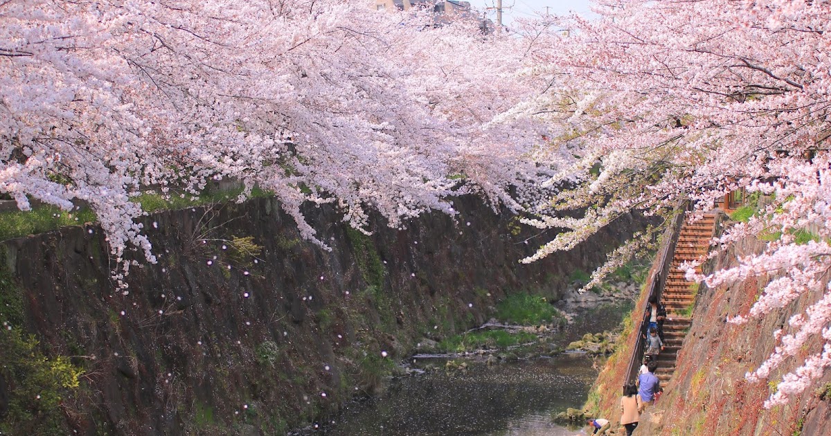 グラフィック、山崎稜