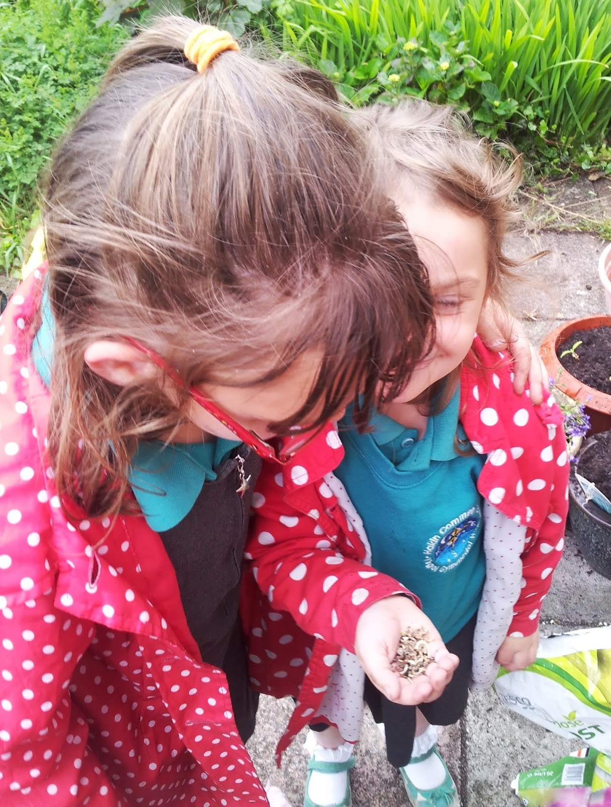 , Planting a &#8220;Summer&#8221; Garden with Kids #kidsgrowwild