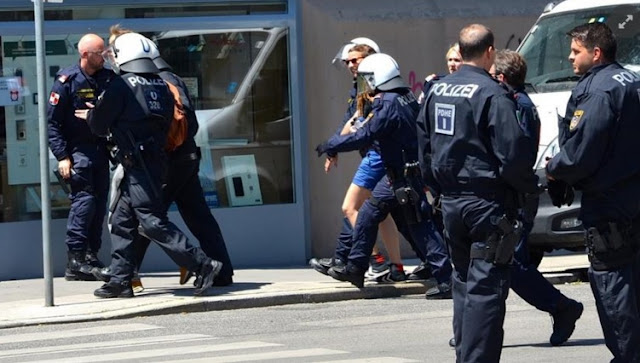 Policia austriake zbulon valixhe me pjesë trupi njeriu