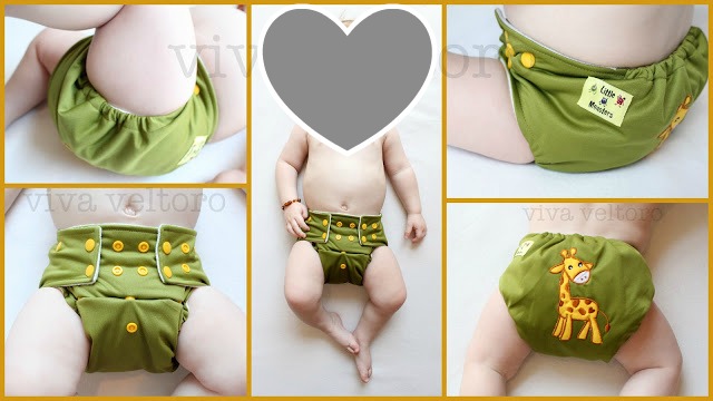 Little Monsters Cloth Diapers