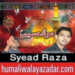 http://www.humaliwalayazadar.com/2014/11/syead-raza-nohay-2015.html