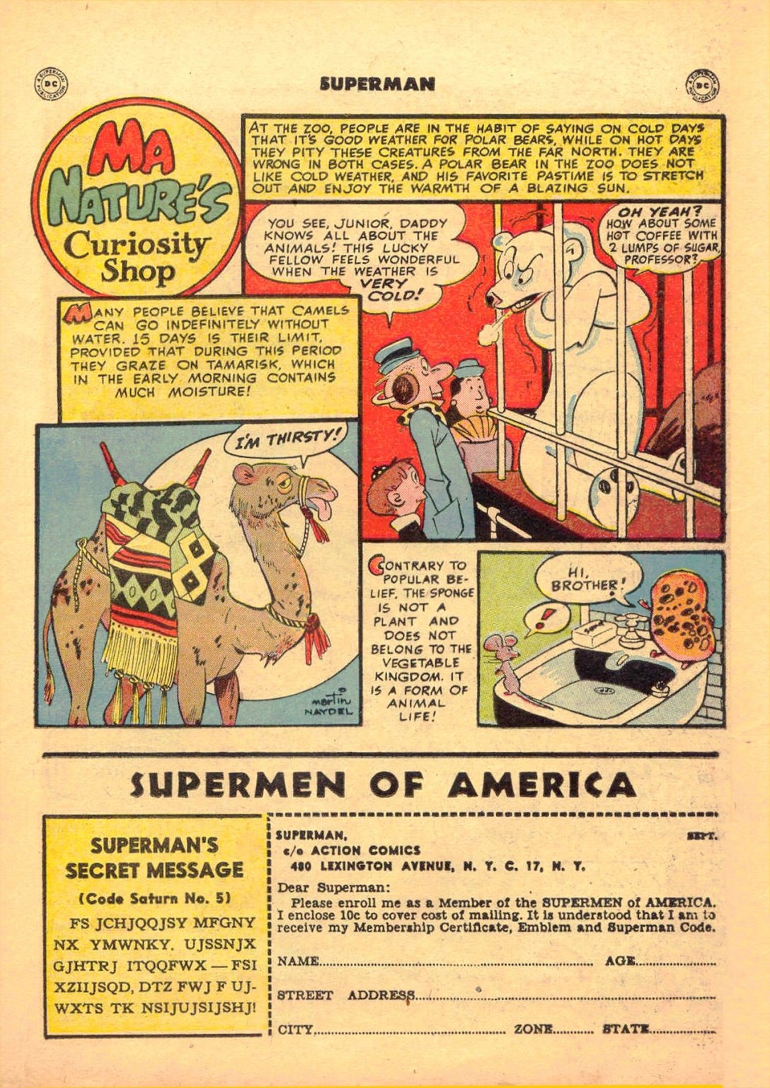 Superman (1939) issue 60 - Page 35