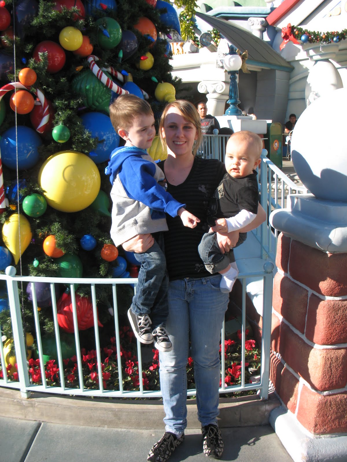 The Life and Times of the Hoy Family