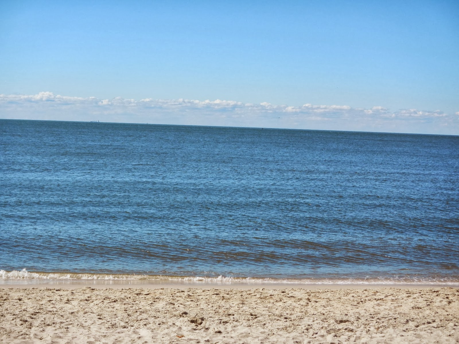 Oh To Be Hiking! Higbee Beach WMA