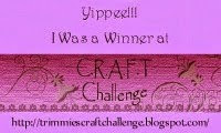 Winner CRAFT challenge