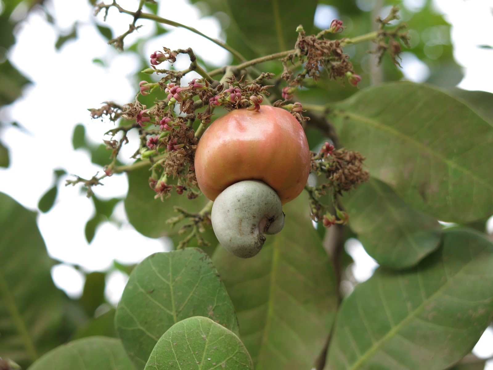 Unterwegs in Zentralamerika März 2014