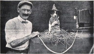 Puppy On A Scale - Weighing The Baby - Harry Whittier Frees Wood