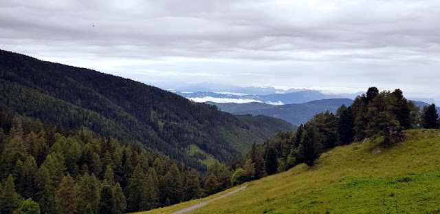 albe in malga val di fiemme