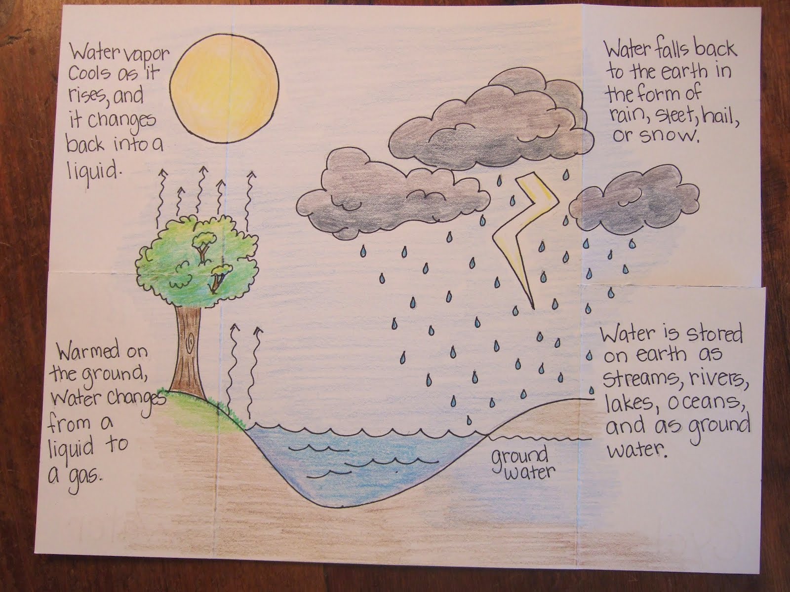 The Water Cycle ~ FIFTH GRADERS
