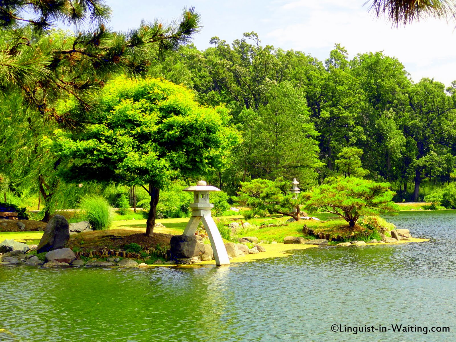 Memoirs Of A Traveling Ex Linguist Year 15 Oh Buffalo The