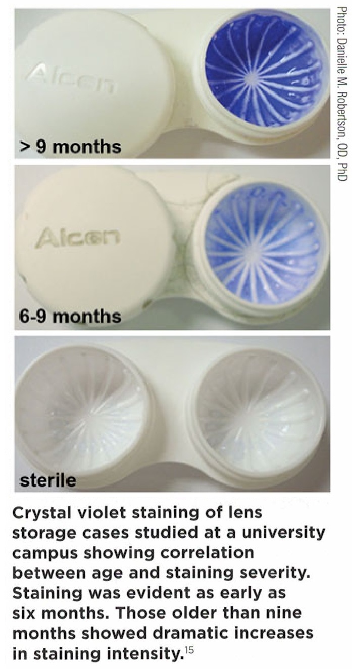 eyecing on the cake the contact lens case