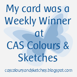 CAS Colours & Sketch Challenges
