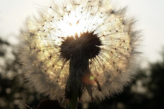 Indigo Autumn 372 Schones Wetter Lebensfreude