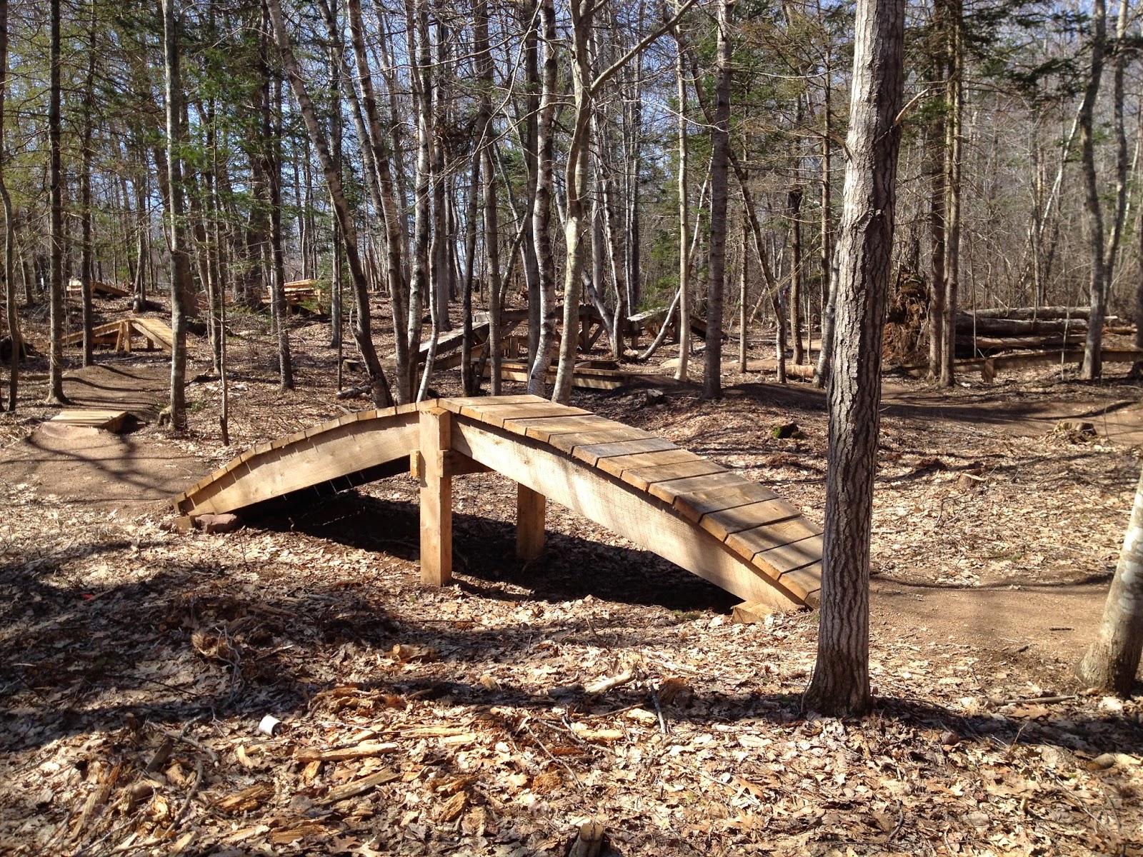 bike skills park near me