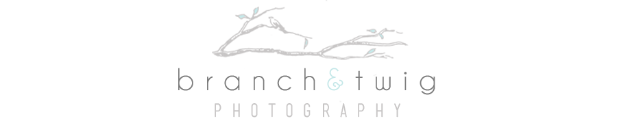 Branch & Twig Photography | BLOG