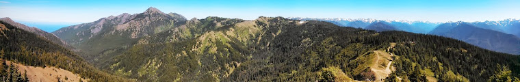 Hurricane Ridge