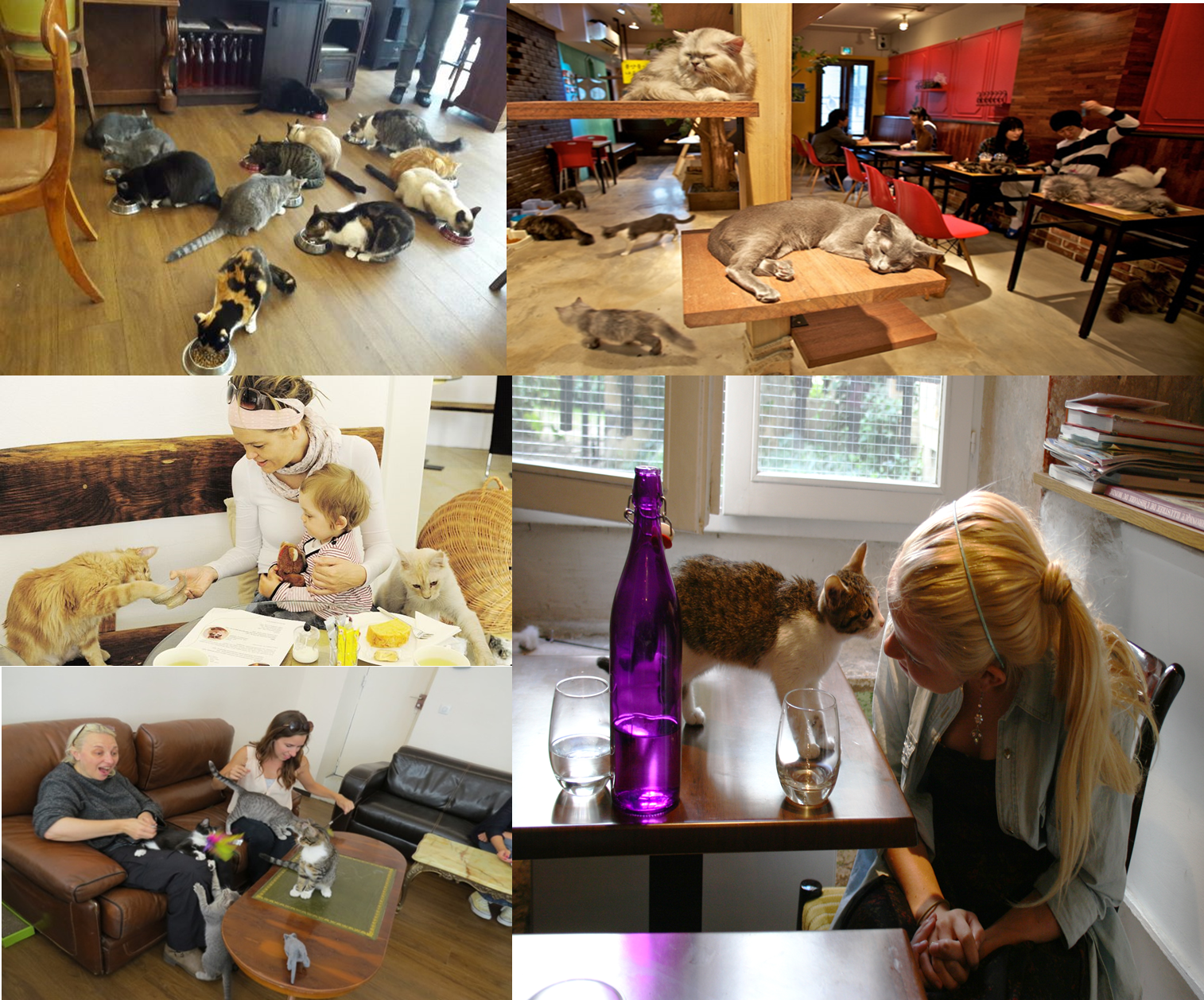 17 Restaurants Tres Insolites A Paris Aux Univers Inedits Pour Vos Yeux Et Pour Vos Soirees Romantiques Avenue Romantique