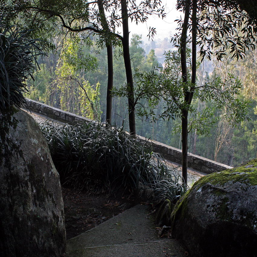 Caminho com degraus em cimento, ladeado por enormes pedras de granito e rodeado por plantas ornamentais e vegetação diversa