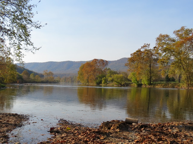 Shenandoah River with Masannutten Mountain in the distance