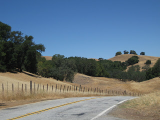 Oaks and rolling golden hills at summit of Willow Springs, Morgan Hill, CA
