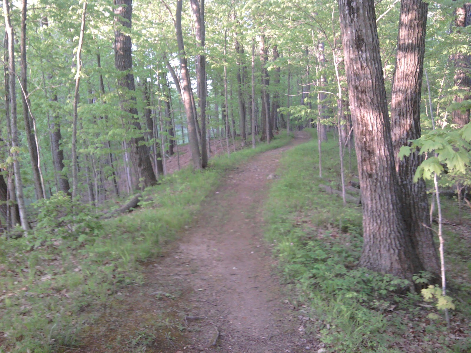 Stillwater Runner Running the Kettle Moraine