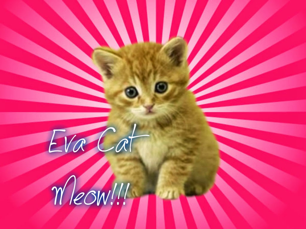 EvaCat ¡Meow!