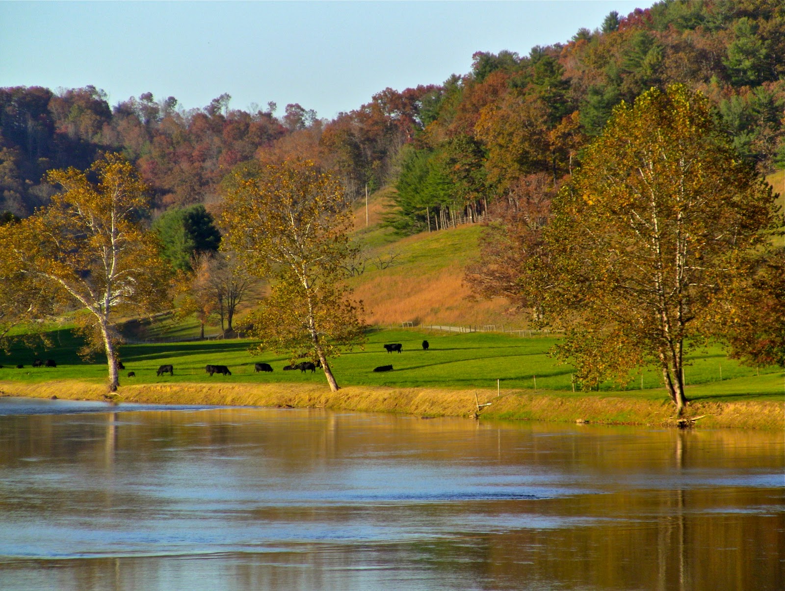 Go Make Some Art!!! Evening walk on The New River in VA