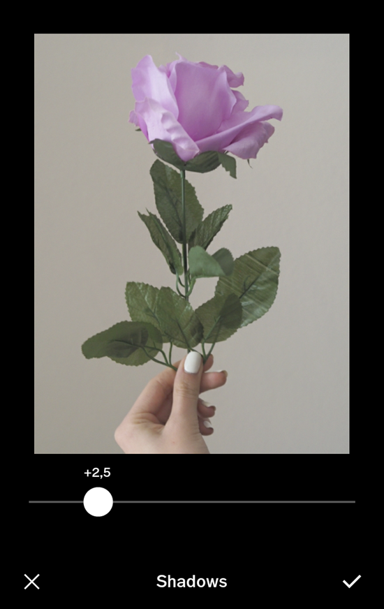 vsco%2Bshadows.png
