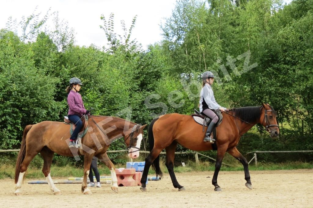 Anime In Brandenburg Blog Und Community Fur Cosplayer Und Anime