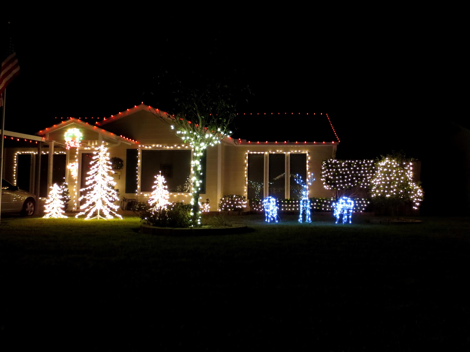 Christmas bungalow lights light yard front houston trees those The OtHeR HoUsToN: MY PICKS FOR BEST BUNGALOW CHRISTMAS LIGHTS