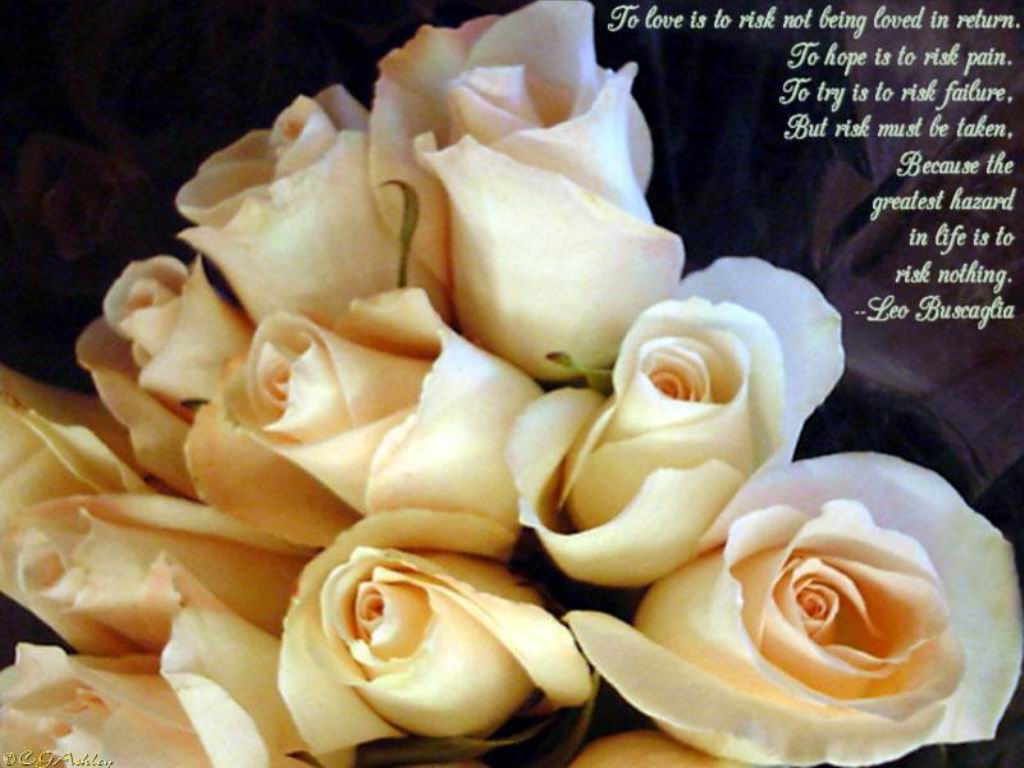 Quotes about Flowers Love manyflowers tumblr lnc79qDZEs1qk893po1 500 4475cf8e55d04afb9952b0eea2a6c63a Love05
