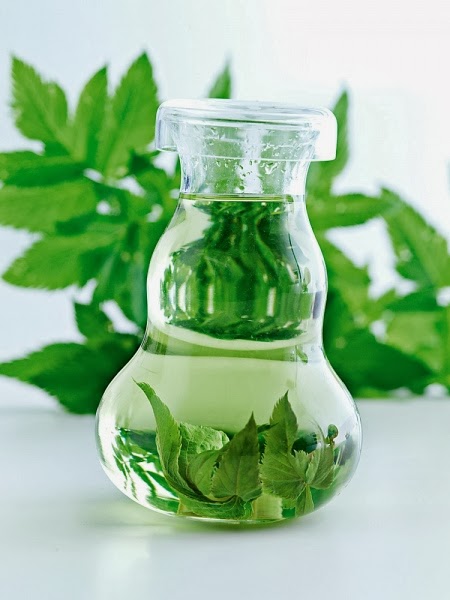 hierbas naturales para bajar diabetes