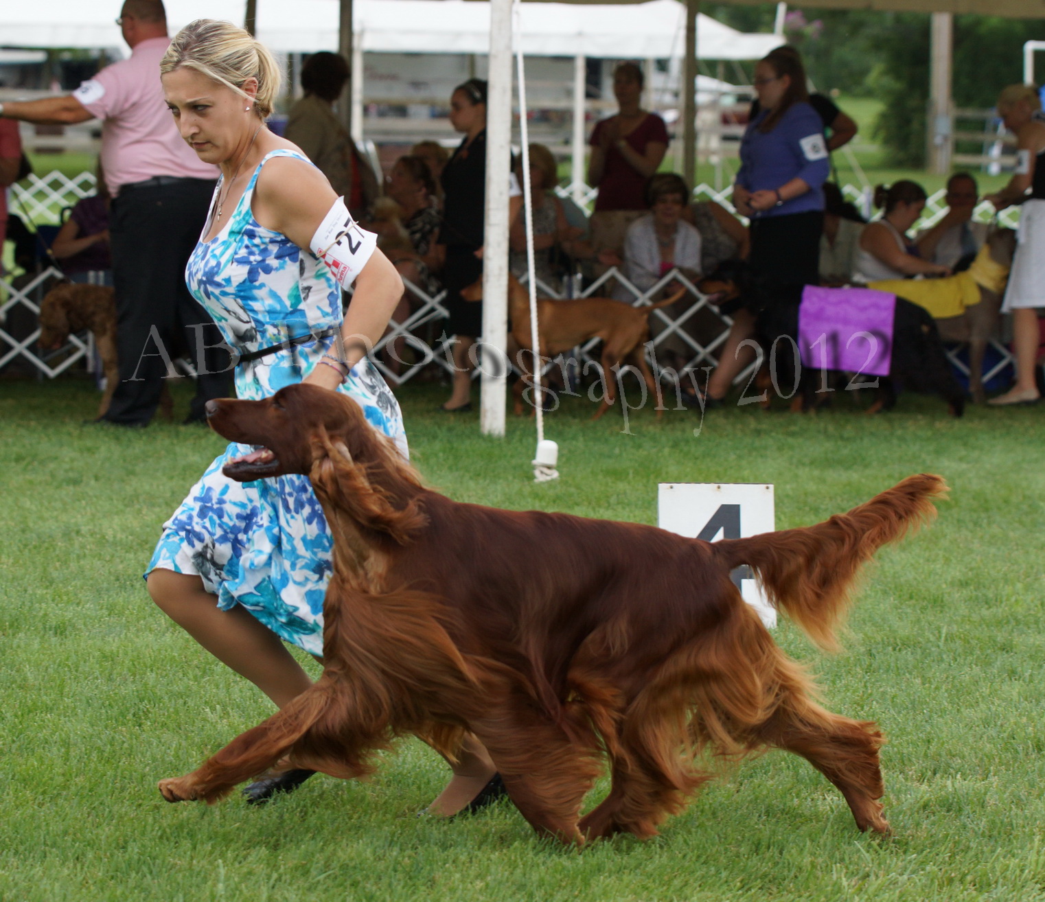 AB Photography Freehold Shows 5/245/27