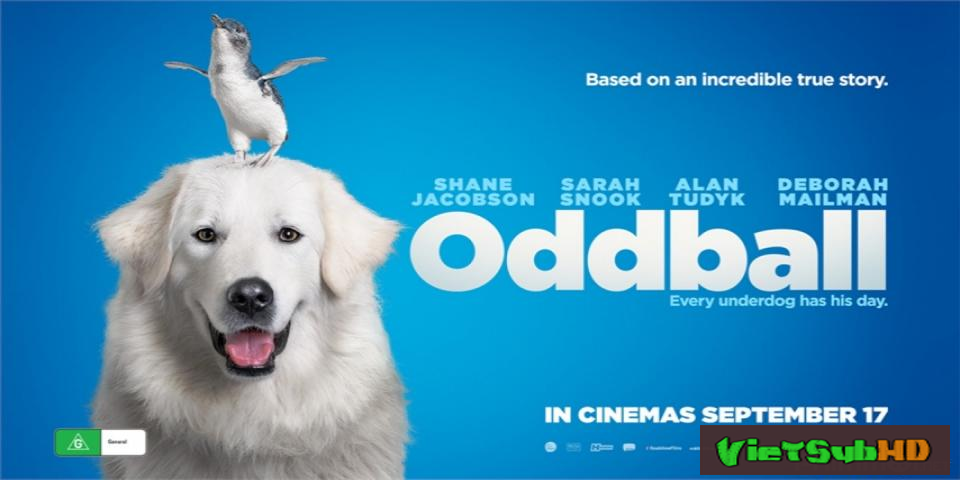 Phim Chú chó Oddball VietSub HD | Oddball And The Penguins 2015
