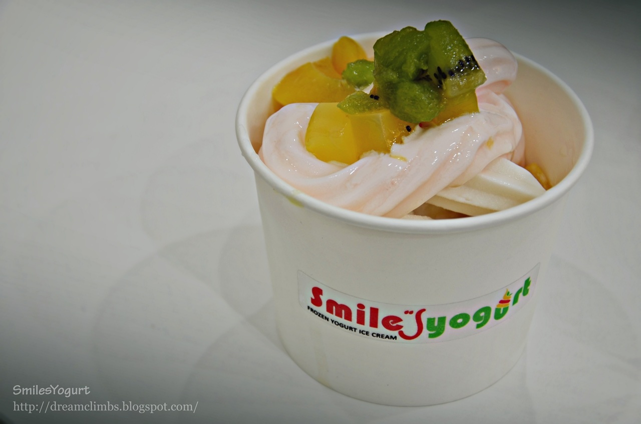 DreamsClimb Smiles Frozen Yogurt