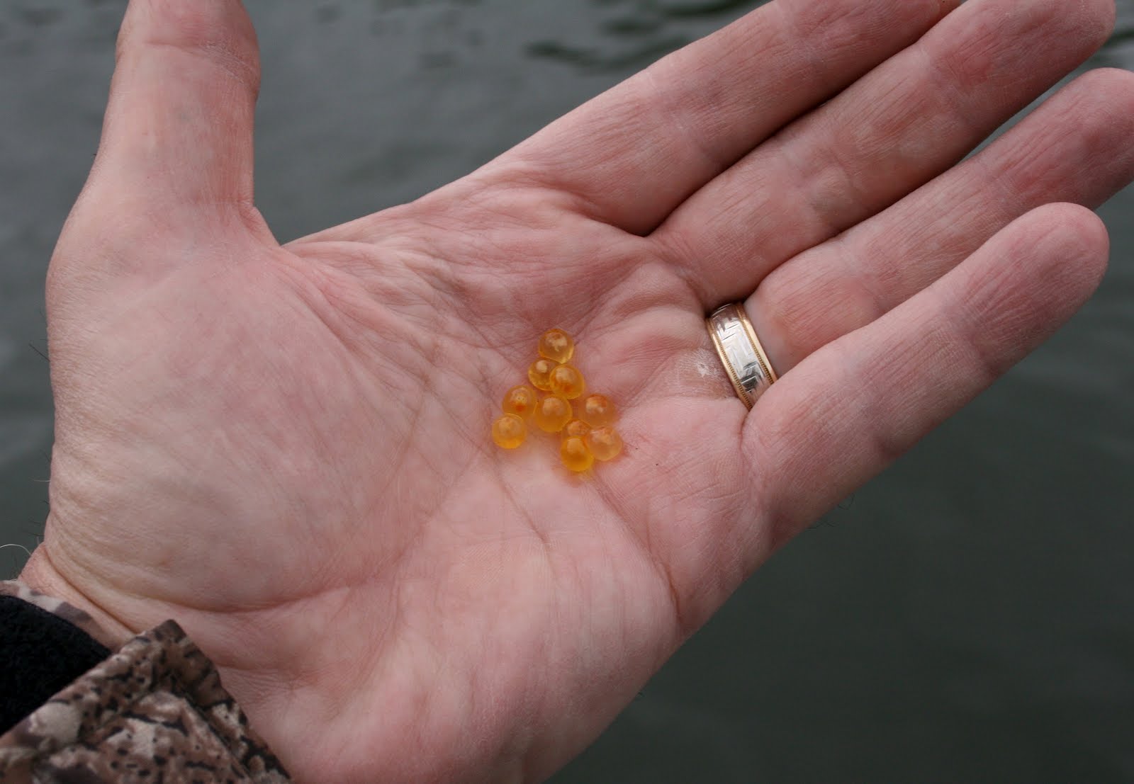 croxfiber sportfishos lounge January 2012