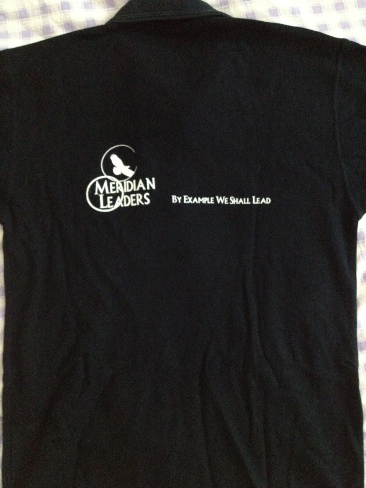 winter soldier trigger words shirt