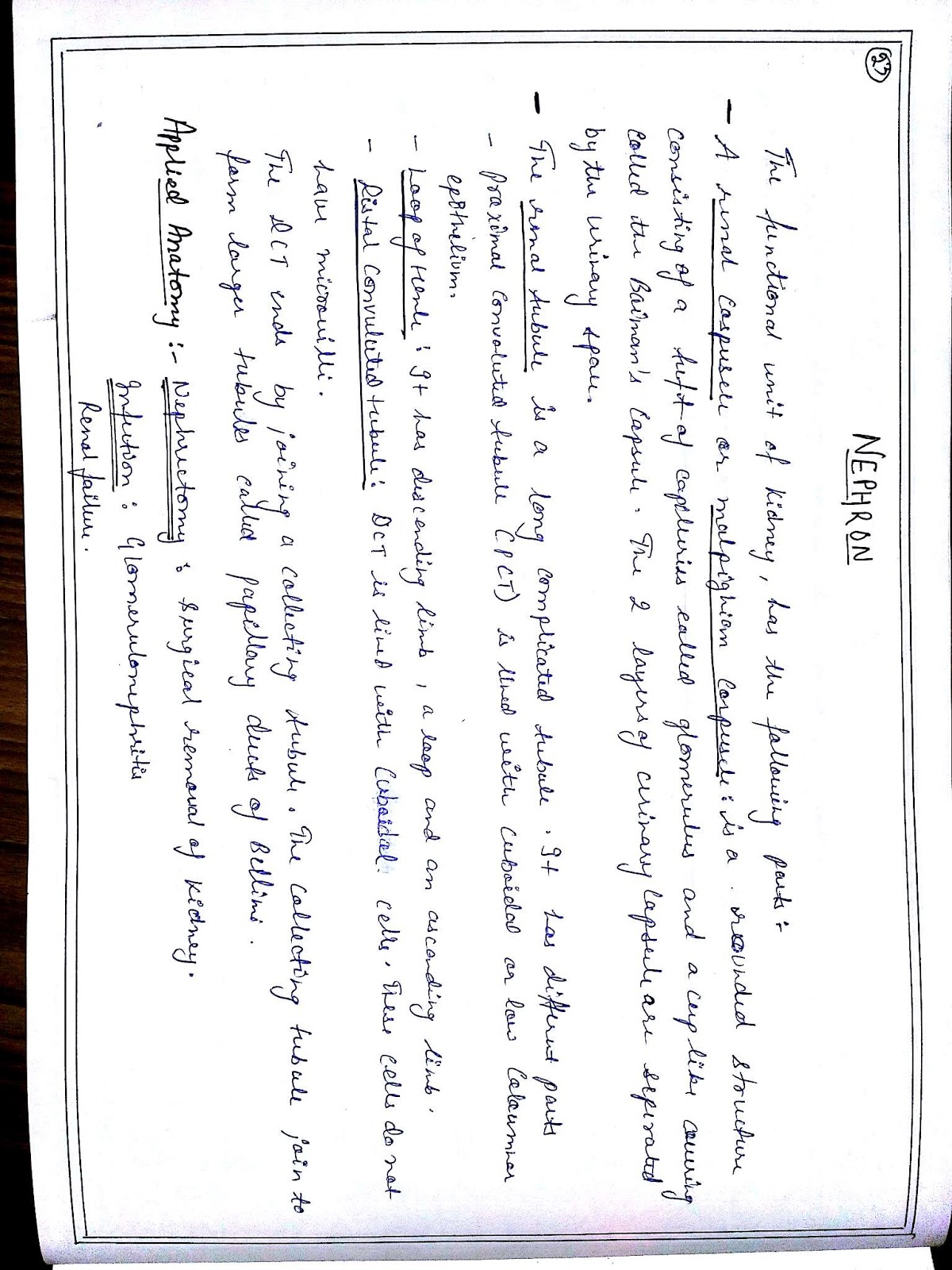 Anatomy Diagram Book