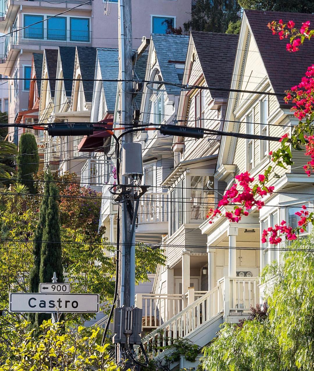 This Week in Noe Valley Ellis Act Defeat, Mountain Lion Capture and a