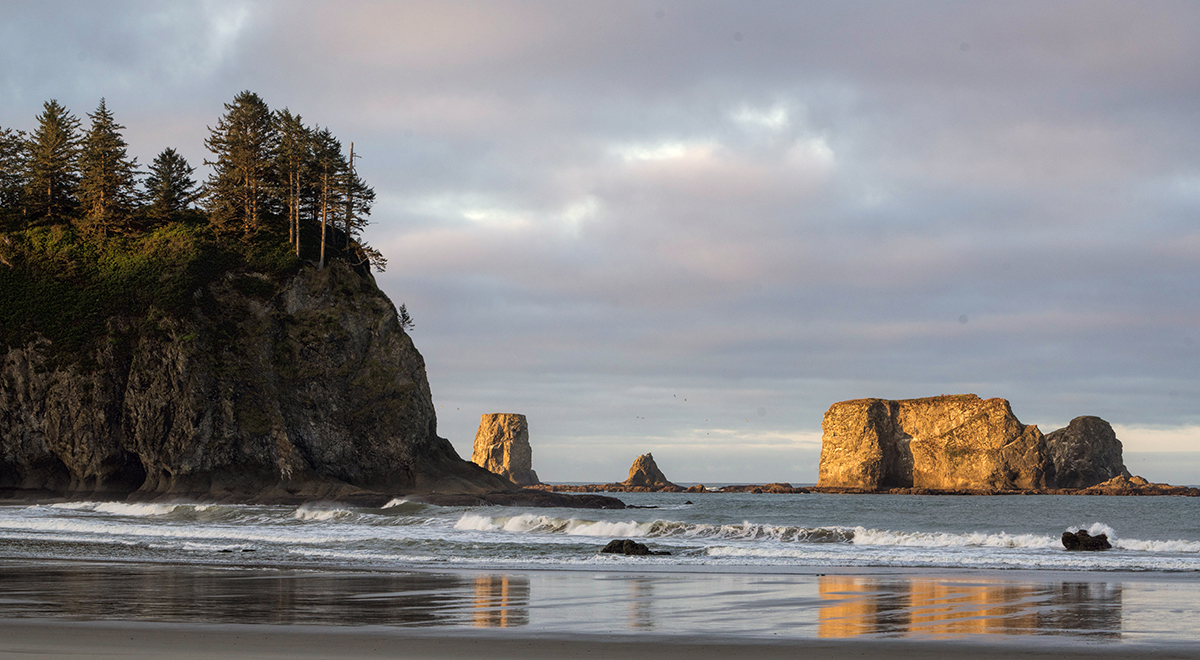 Blair's Photo Diary Second Beach, Forks Washington